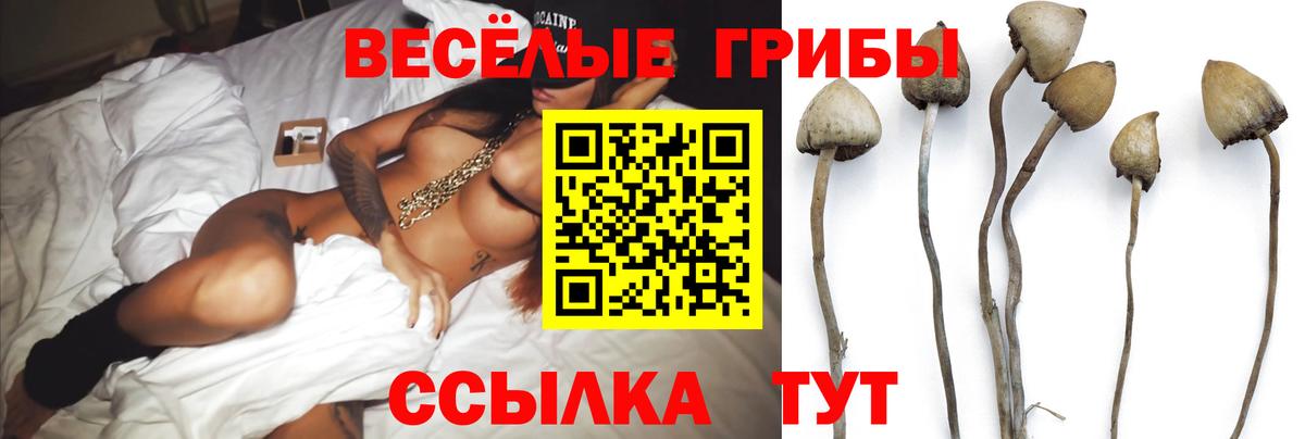 Галлюциногенные грибы MAGIC MUSHROOMS  Вход с VPN  Свободный 